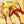 DIVINE COMEDY | REGENERATION