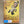 MOVIE FO | GO FOR ZUCKER