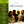 SOUNDTRACK | BROTHERS