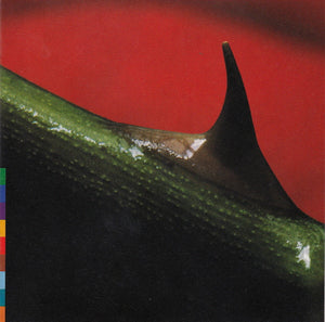 NUSRAT FATEH ALI KHAN / MICHAEL BROOK | NIGHT SONG (DIGI)
