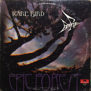 RARE BIRD | EPIC FOREST - US