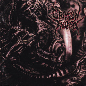 CRIMSON THORN | DISSECTION