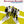 HERMAN'S HERMITS | RETROSPECTIVE