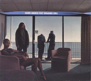 SKUNK ANANSIE | POST ORGASMIC CHILL (DIGI) - SEAM WEAR - DISC FINE