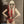 LADY GAGA | SECRET WORLD - AN UNAUTHORIZED BIOGRAPHY