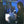 CLANNAD | LEGEND - US