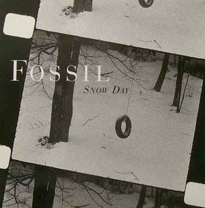 FOSSIL | SNOW DAY - 10 INCH PROMO