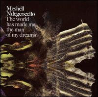 MESHELL NDEGEOCELLO | WORLD HAS MADE ME THE MAN OF MY DREAMS