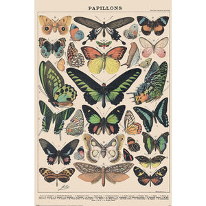 MOTHS AND BUTTERFLIES PAPILLIONS MILLOT POSTER 664