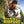 MOVIE FA | SON OF BIGFOOT