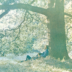 YOKO ONO / JOHN LENNON | PLASTIC ONO BAND (VINYL)