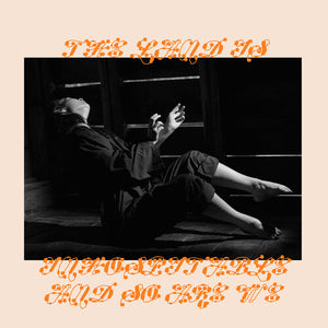 MITSKI | LAND IS INHOSPITABLE AND SO ARE WE (VINYL)
