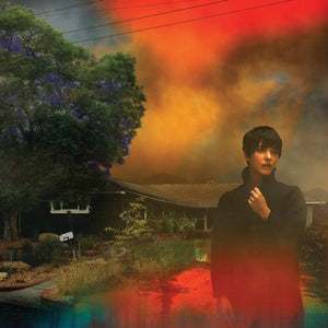 SHARON VAN ETTEN | WE'VE BEEN GOING ABOUT THIS ALL WRONG LTD LP