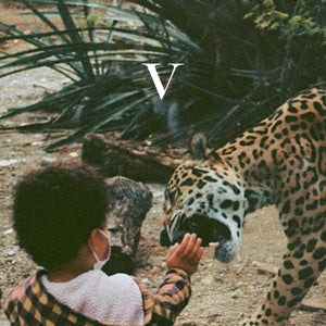 UNKNOWN MORTAL ORCHESTRA | V