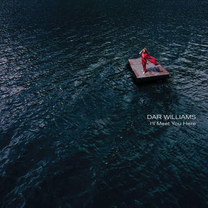 DAR WILLIAMS | ILL MEET YOU HERE (DIGI)