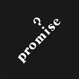PROMISE | PROMISE - REISSUE - GOT KINDA LOST RECORDS