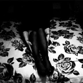 M AX NOI MACH | IN THE SHADOWS