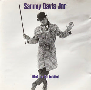 SAMMY DAVIS JR | WHAT IVE GOT IN MIND