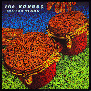 BONGOS | DRUMS ALONG THE HUDSON (SPECIAL EDITION)