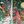 SIERRA TRUONG | EARTHSONG COLOURING BOOK