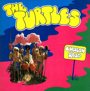 TURTLES | CHALON ROAD