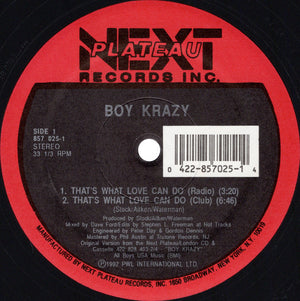 BOY KRAZY | THAT'S WHAT LOVE CAN DO 12 - US - GENERIC RECORD COMPANY SLEEVE