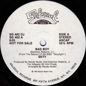 SKYY | BAD BOY - 12 INCH - US PROMO