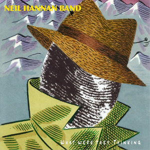 NEIL HANNAN | WHAT WERE WE THINKING