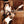 STEVIE RAY VAUGHAN | LIVE AT CARNEGIE HALL