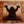 JOHN LEE HOOKER | HEALER (REMASTERED) (DIGI)