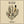 NO CIGAR | BIENVENIDO - GOLD WAX