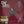 GHOSTFACE KILLAH | BACK LIKE THAT - 12 - COMPANY SLEEVE WITH HYPE