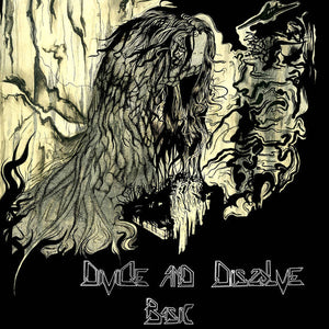 DIVIDE AND DISSOLVE | BASIC