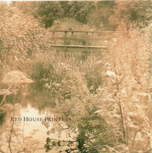 RED HOUSE PAINTERS | RED HOUSE PAINTERS (BRIDGE COVER)