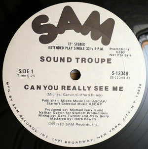 SOUND TROUPE | CAN YOU REALLY SEE ME - 12 - PROMO