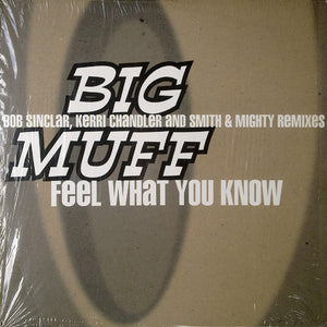 BIG MUFF | FEEL WHAT YOU KNOW - DOUBLE 12