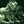 ALICE IN CHAINS | GREATEST HITS
