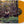 CALEB CAUDLE | FORSYTHIA (YELLOW EDITION) (VINYL)