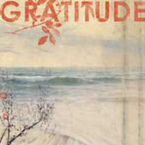 GRATITUDE | GRATITUDE