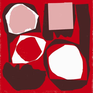 VARIOUS | MR BONGO RECORD CLUB VOL 5 2LP