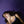 OLIVIA RODRIGO | GUTS