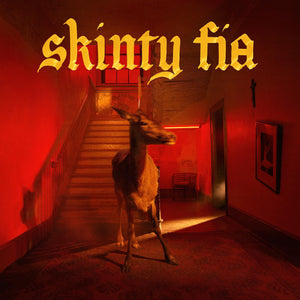 FONTAINES DC | SKINTY FIA (VINYL)