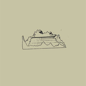 JOSE GONZALEZ | VENEER
