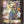 OUTKAST | AQUEMINI