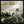 RUSH | PERMANENT WAVES (REMASTERED)