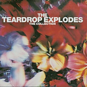 TEARDROP EXPLODES | COLLECTION