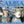 VARIOUS ARTISTS^SAMBA | SAMBA / VARIOUS