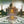KOOL AND THE GANG | OPEN SESAME - US