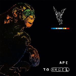 PITCH BLACK | APE TO ANGEL