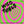 VARIOUS | WILD THINGS - WYLD KIWI GARAGE 1966 - 1969